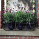 Set of 2, Wall/Window Pot Planters, Box Basket - Wrought Iron in the garden with plants outdoor.