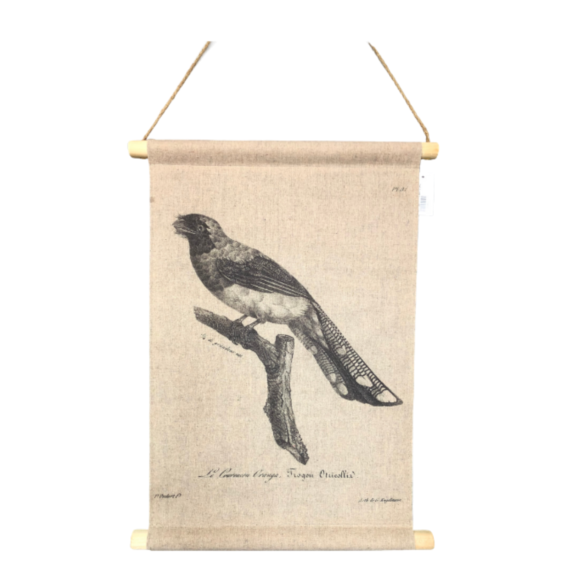 Wall Hanging Scroll, Print on Fabric Unique Vintage Birdlife A