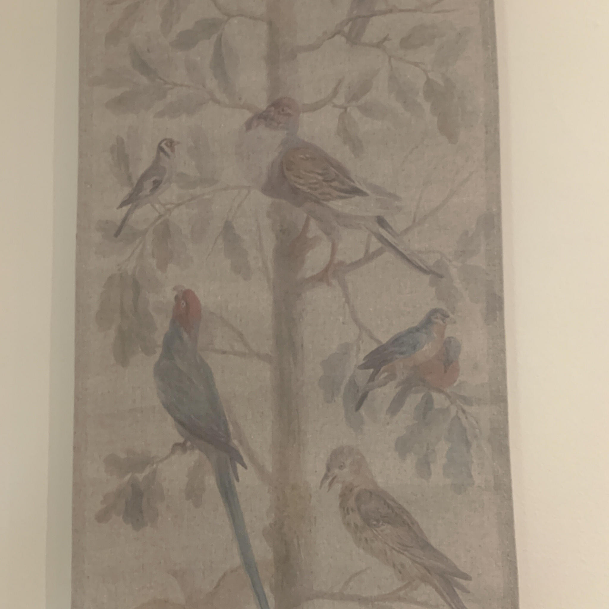 Wall Hanging Scroll, Print on Fabric Unique Vintage Parrot Red Birdlife up close of scroll detail