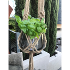 macrame jute hanging pot plant hanger 