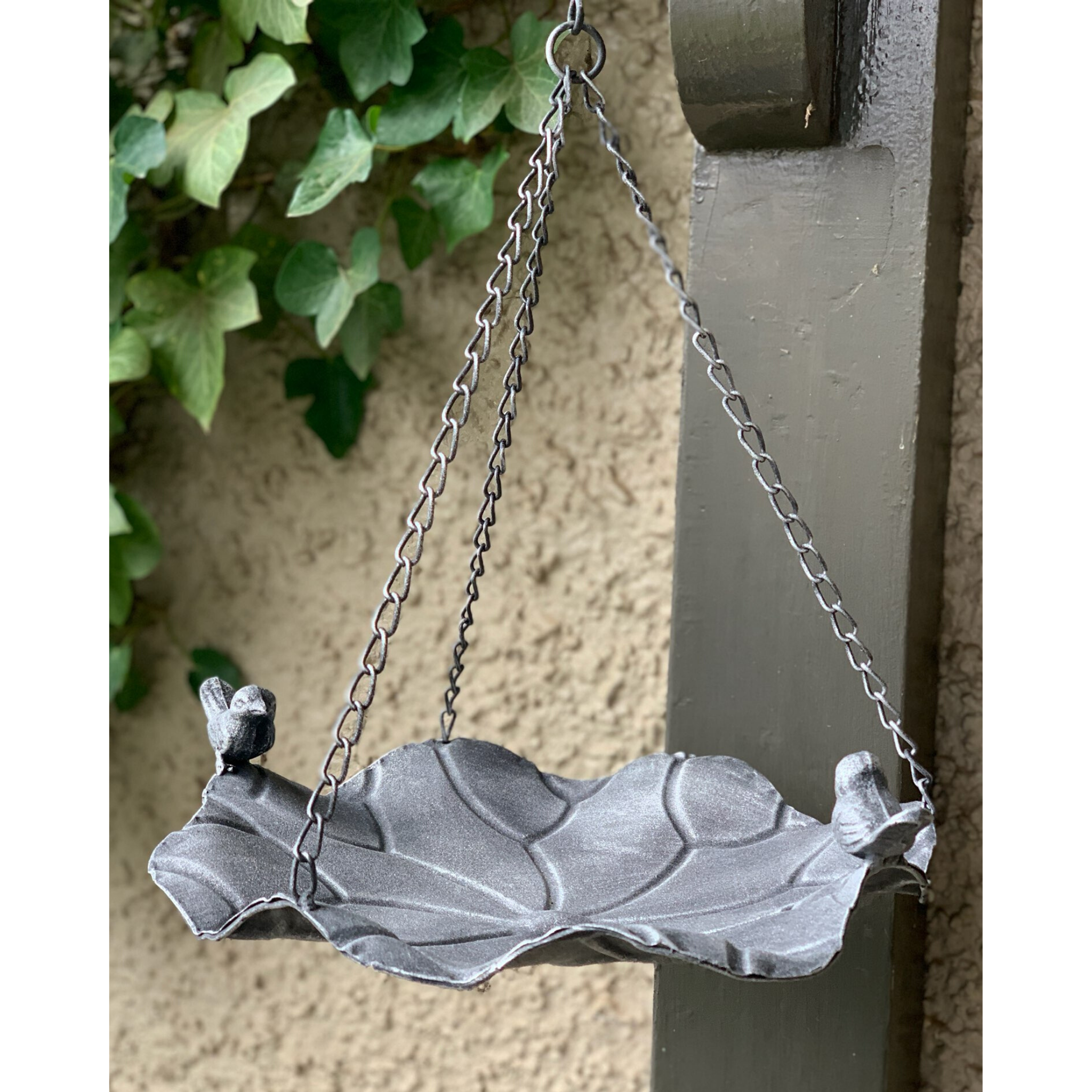 Hanging bird feeder with birds on the edge